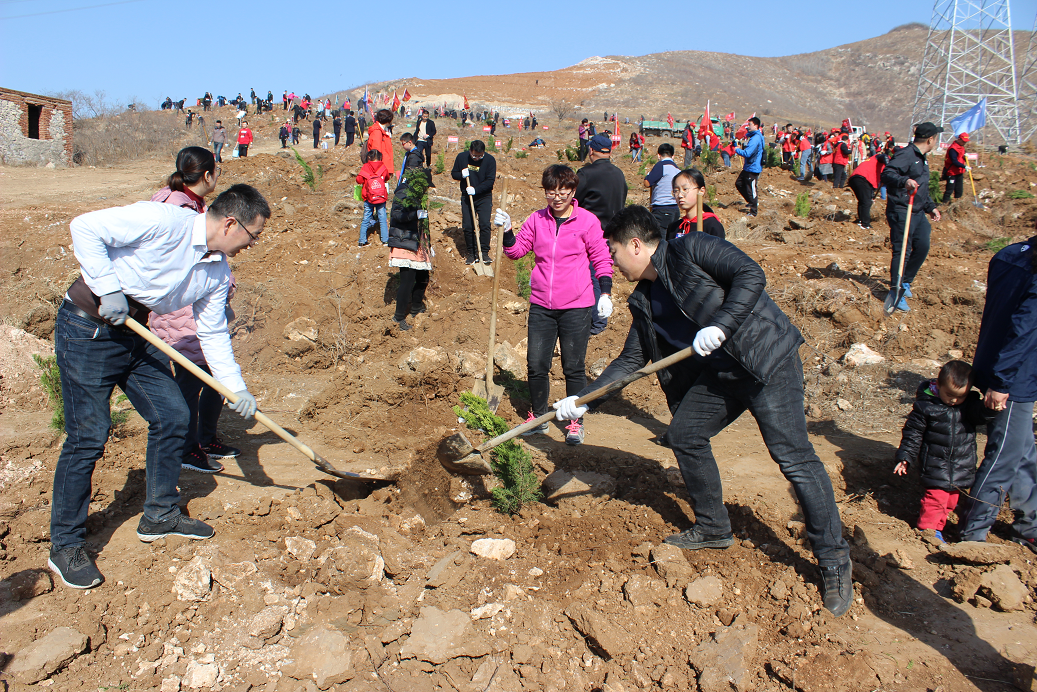 凯发K8(中国)环境2019植树活动－分工协作，星点绿意渐成片.jpg